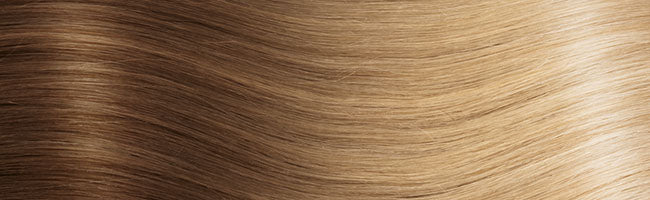 Ombré Clip in Extensions - luxury Qualität - 70 Gramm 3-teilig - 55cm hce 70g-55l balayage b10/db2 variant detail image - 502c87f60e45d1fe6efbe69c344b318894023ec7538e1d14992edc191b46cbb6